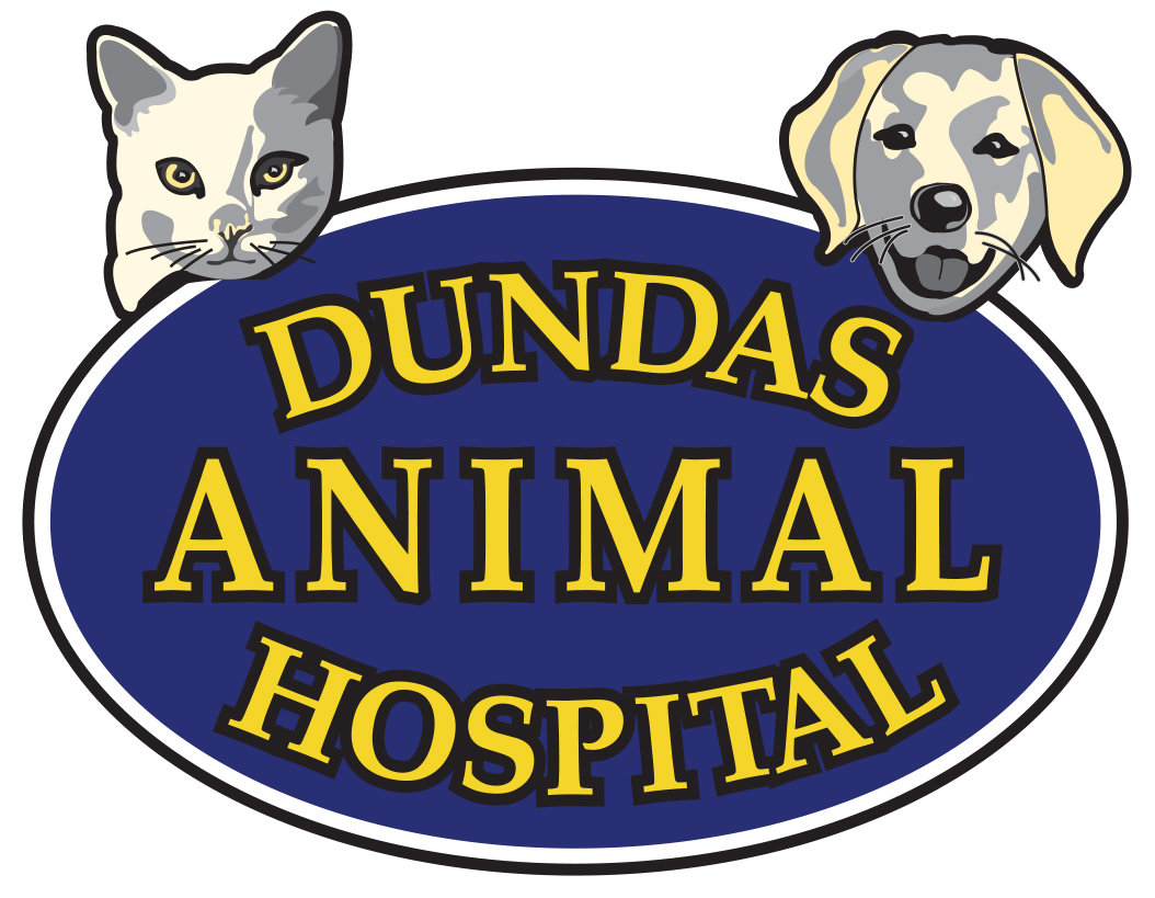 Dundas Animal Hospital